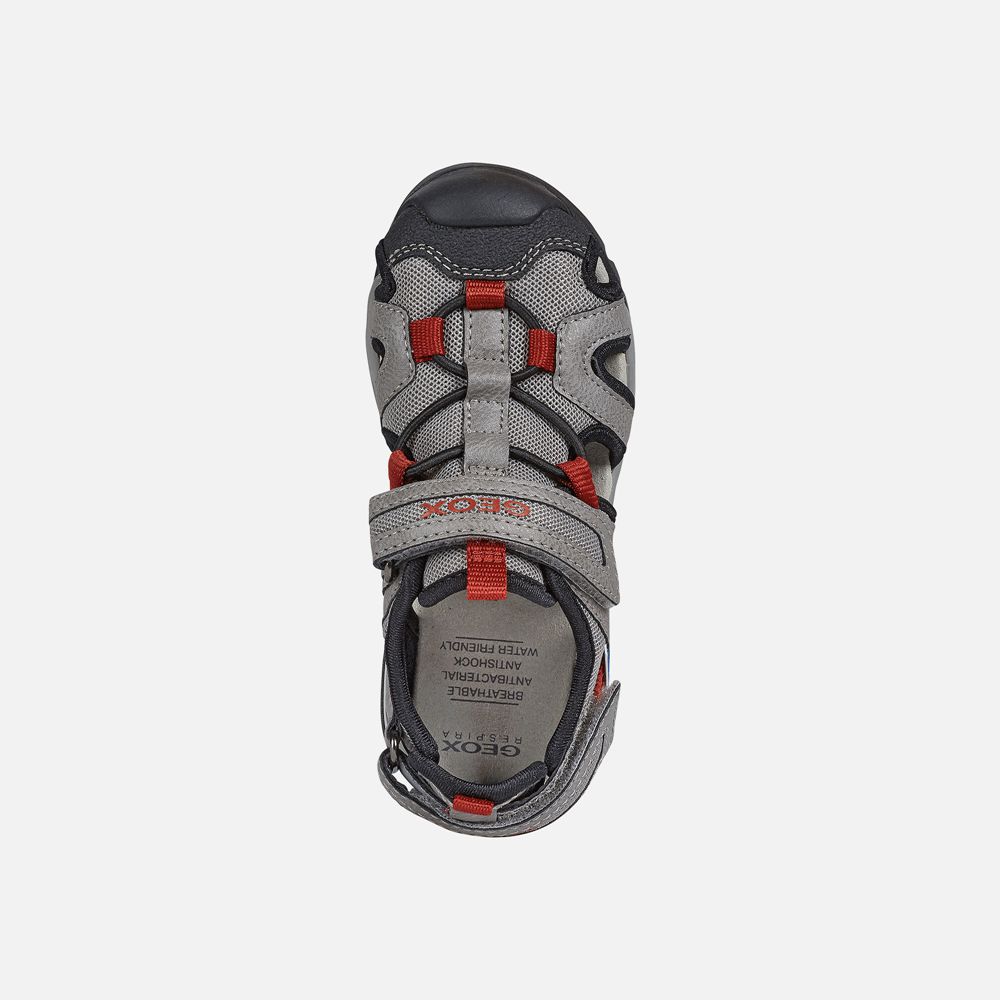 Geox Sandals Grey/Red Borealis - Geox Boys Shoes - NXIFKL845